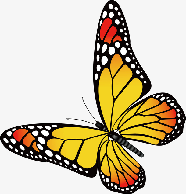 矢量图飞行的蝴蝶