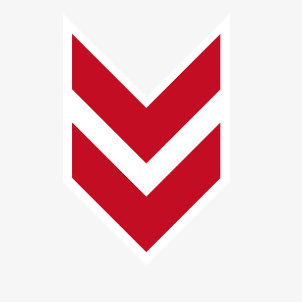 矢量直降箭头红色双排