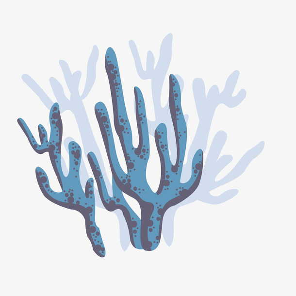 海藻 素材 免费海藻图片素材 海藻素材大全 万素网