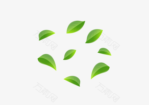 清新树叶环保绿叶春天田园雨水