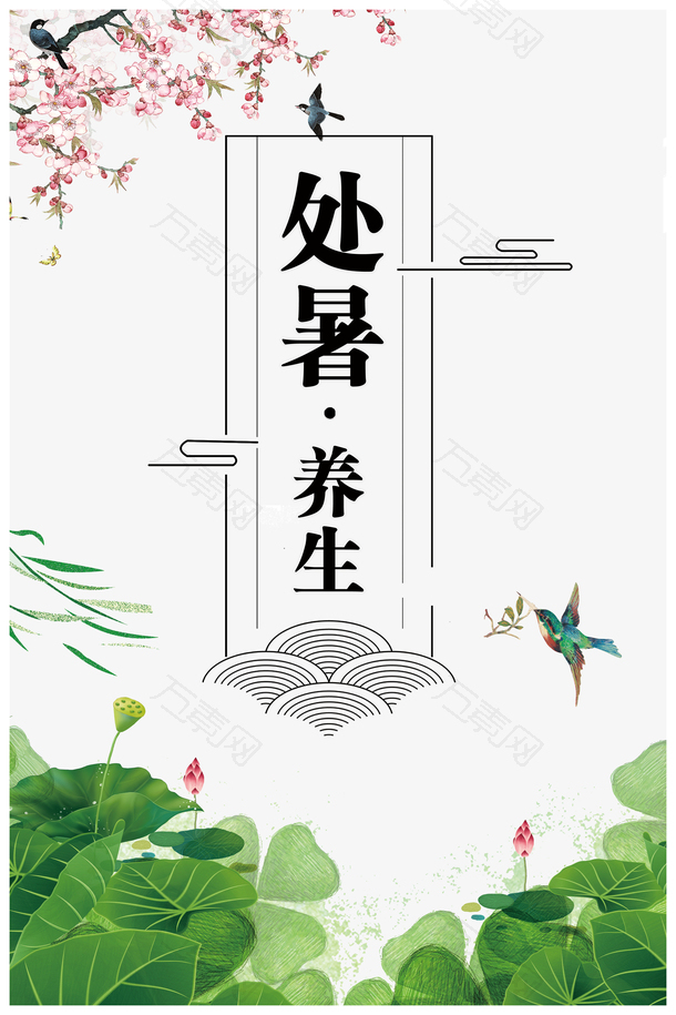 处暑夏季荷花柳树花朵鸟