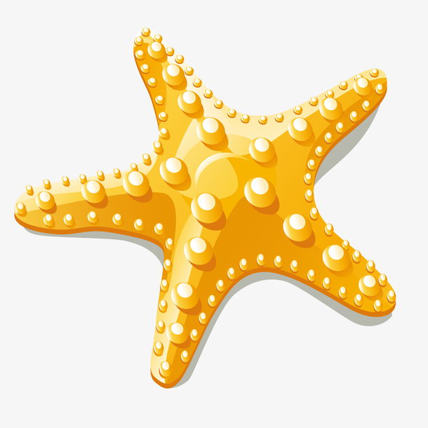 卡通海星图