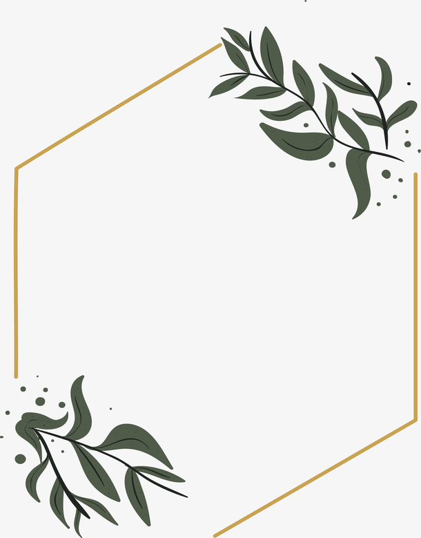 矢量六边形边框