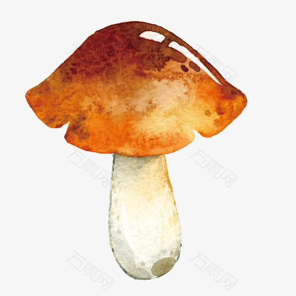 卡通蘑菇矢量图下载