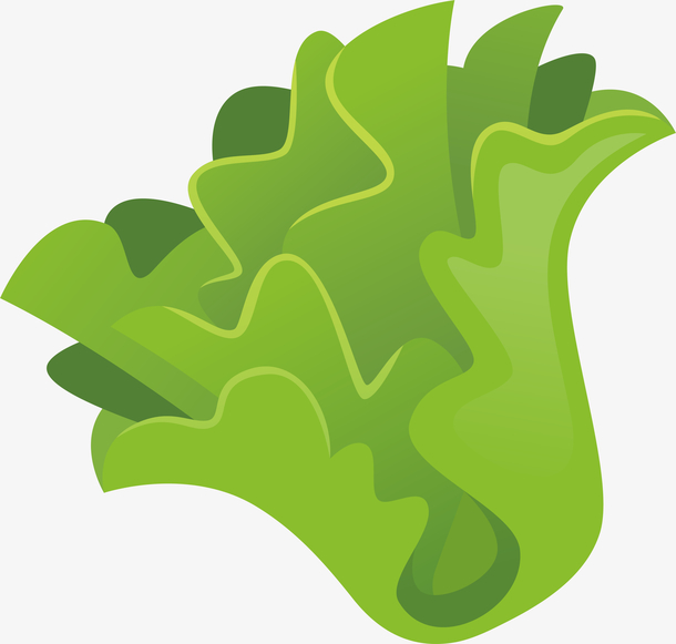 手绘卡通食物蔬菜生菜矢量元素