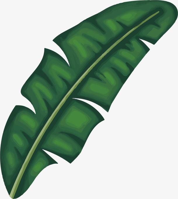 绿色卡通矢量芭蕉叶