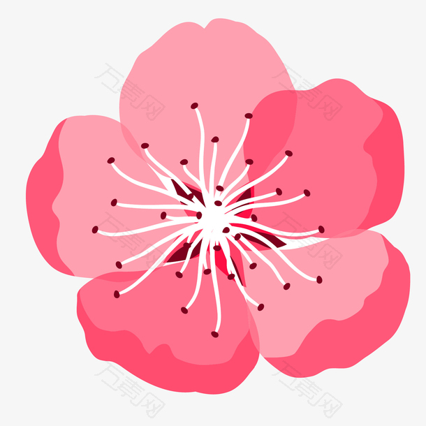 手绘桃花花瓣矢量图形