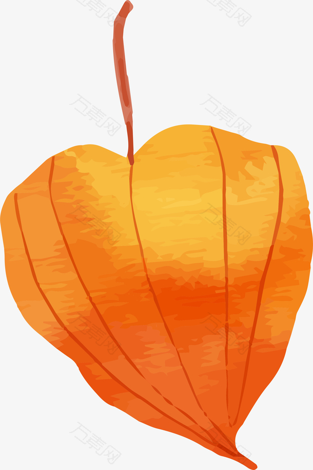 立秋枫叶png装饰插画