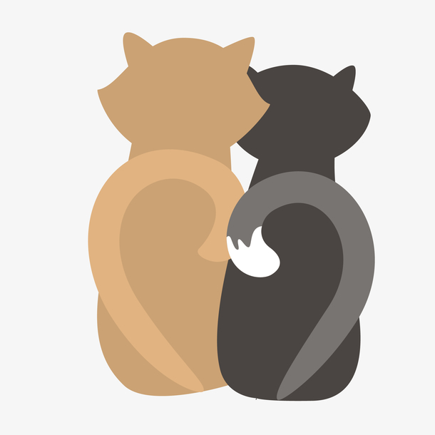 猫咪背影情侣头像图片