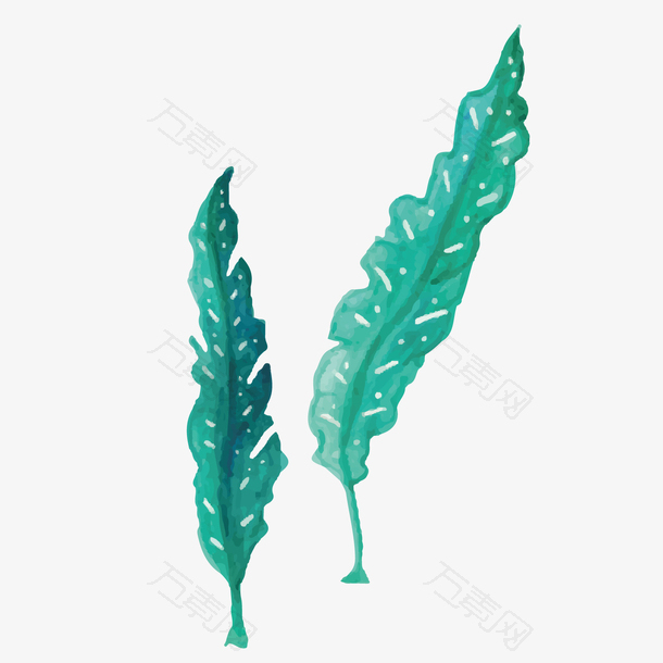 翩翩起舞的深海水草