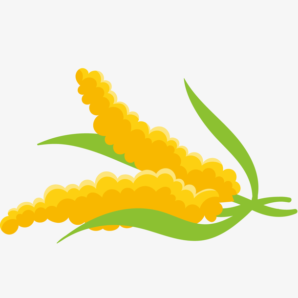 卡通黄色小米穗绿色叶子