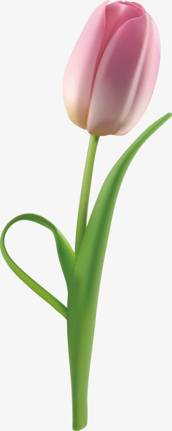 紫花素材 素材 免费紫花素材图片素材 紫花素材素材大全 万素网