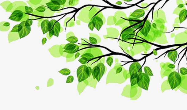 春天绿色卡通手绘叶子