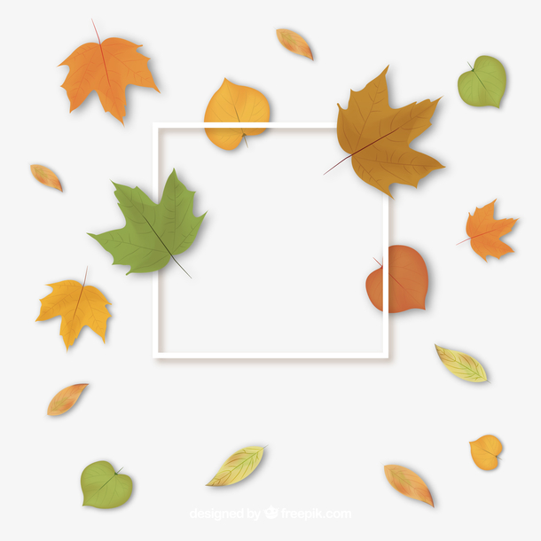 秋背景 素材 免费秋背景图片素材 秋背景素材大全 万素网