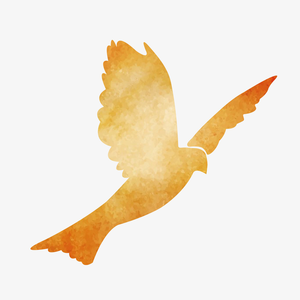 手绘鸽子设计素材