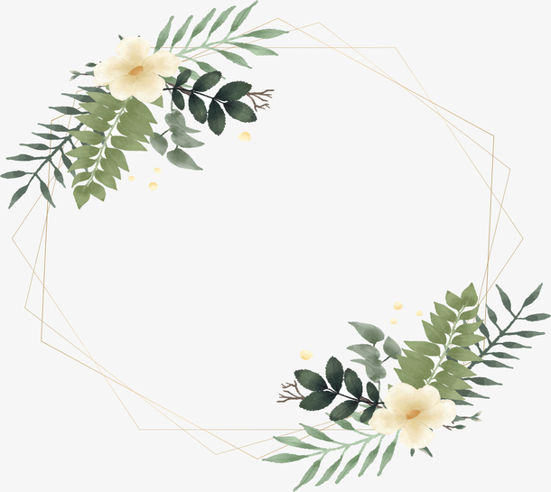 浪漫白色花朵边框