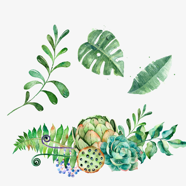 手绘植物素材 素材 免费手绘植物素材图片素材 手绘植物素材素材大全 万素网