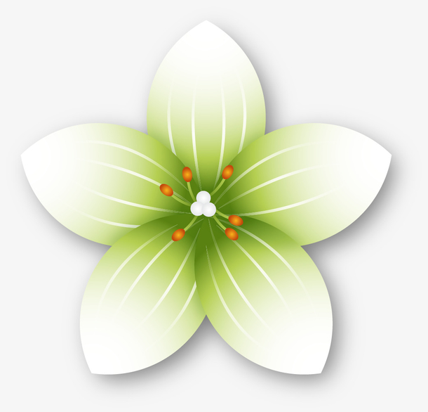 浅绿色矢量卡通百合花