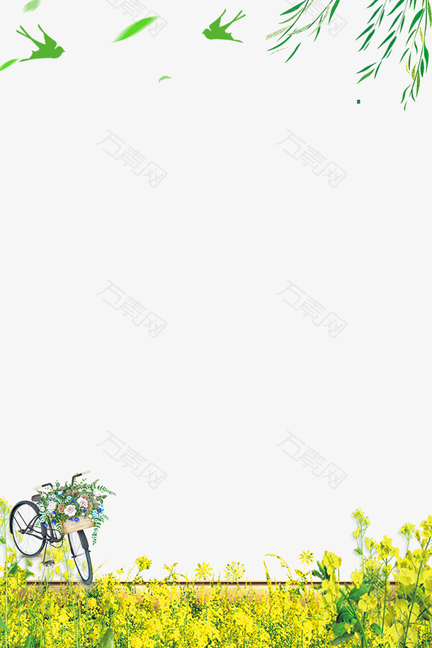 二十四节气之春分油菜花与柳枝边