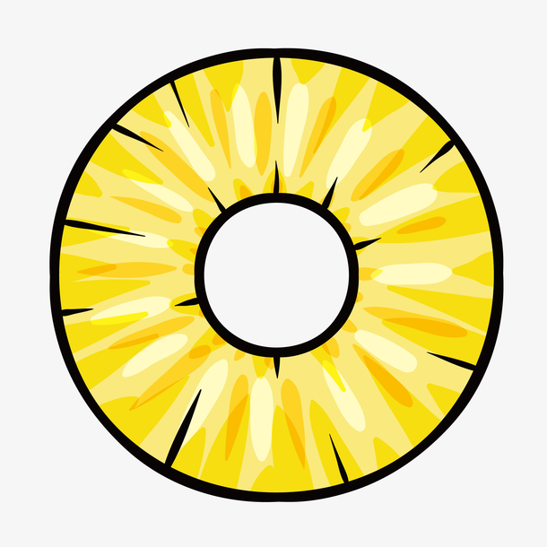 矢量手绘水果菠萝片