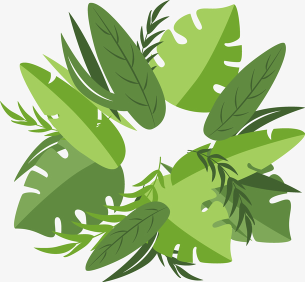 绿植物 素材 免费绿植物图片素材 绿植物素材大全 万素网
