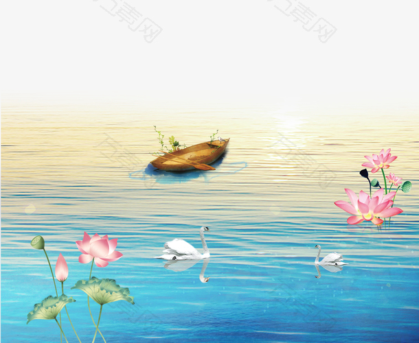 荷叶荷花湖面风景