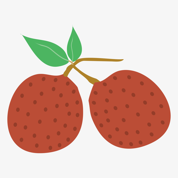 卡通风格初夏水果荔枝