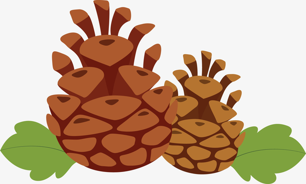 立秋丰收成熟松果