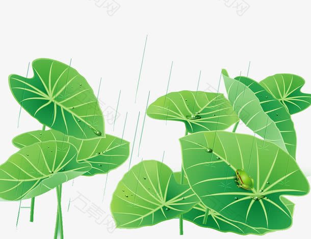 下雨天小清新绿色荷叶海报