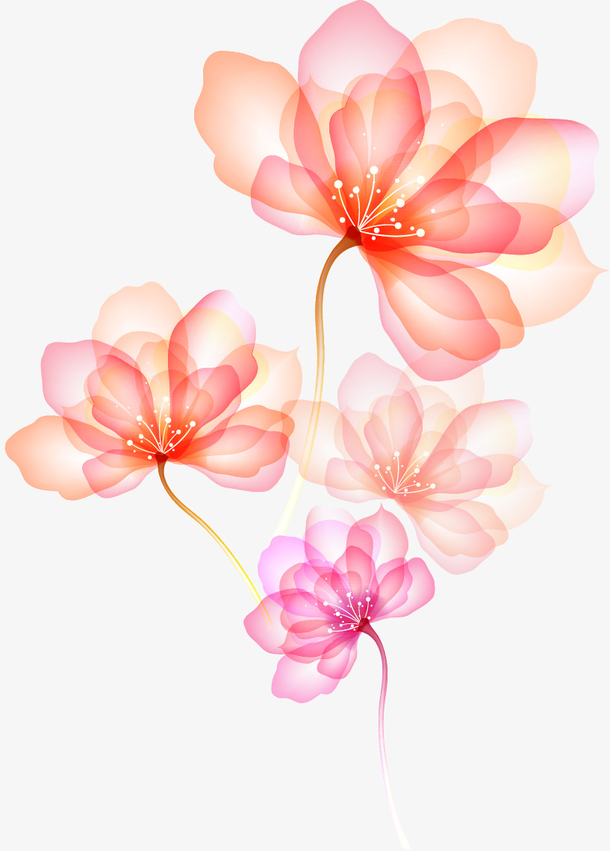 透明花朵 素材 免费透明花朵图片素材 透明花朵素材大全 万素网