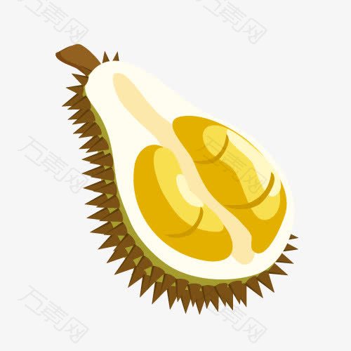 矢量榴莲免费素材