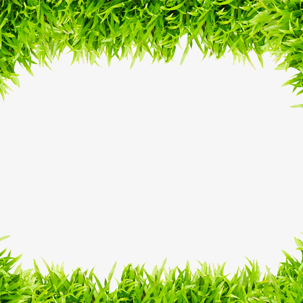 小草边框相框花边