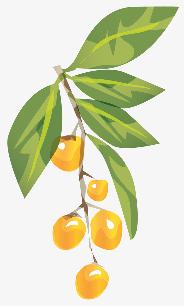 手绘风格黄色果实