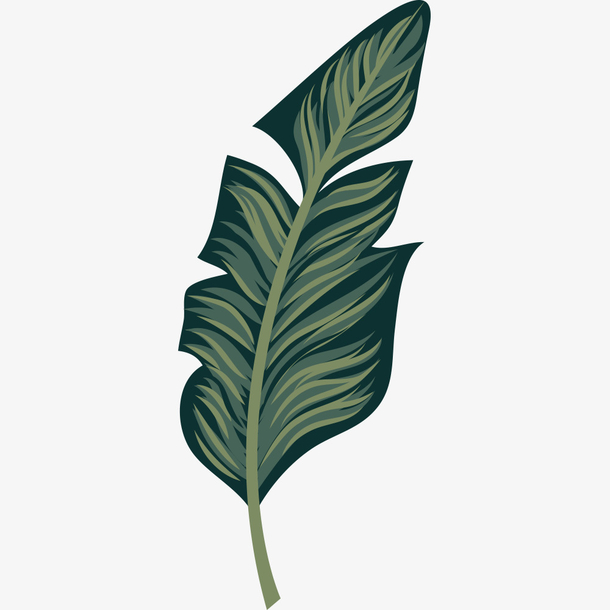 手绘花朵花枝素材图片免费下载-手绘花朵花枝素材素材-万素网