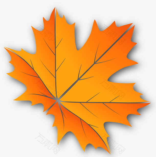 枫叶矢量手绘风格