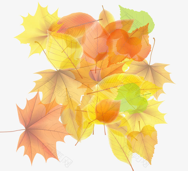 叶子阳光背景矢量