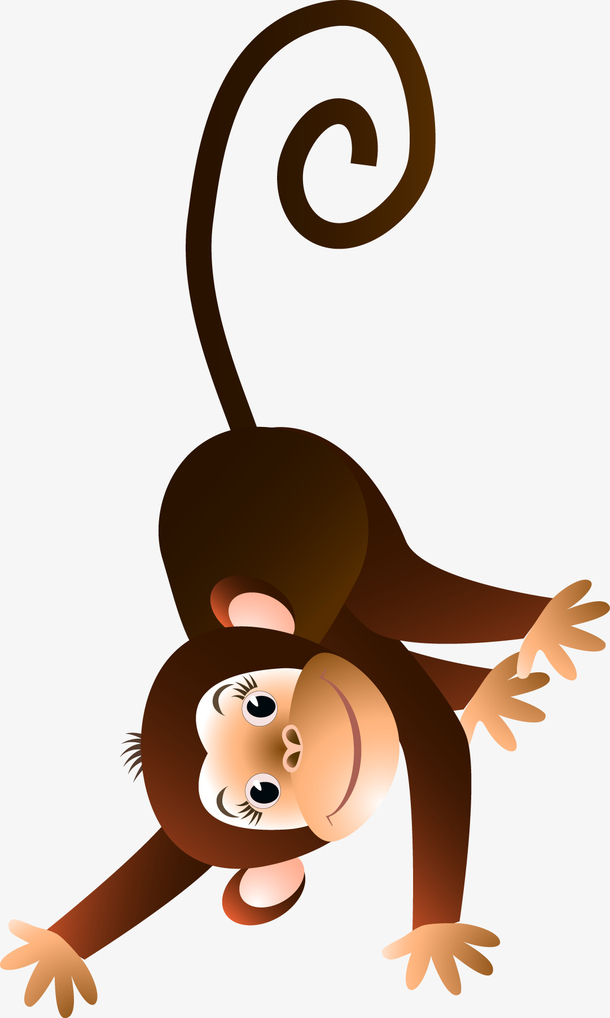 小猴子照片漫画图片