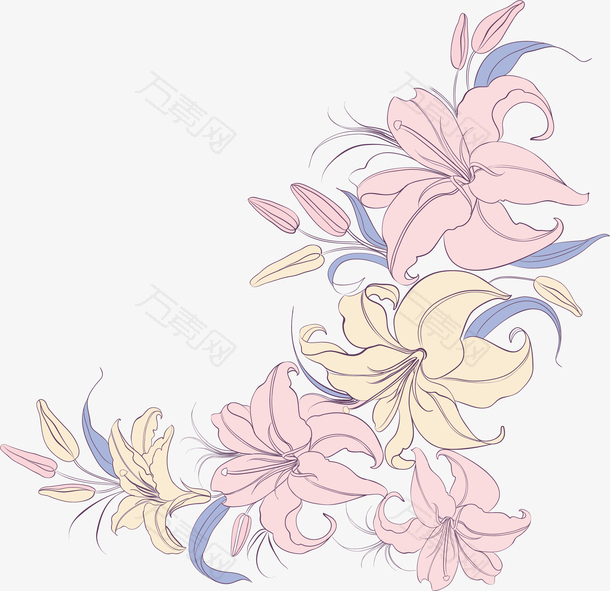 浪漫粉色百合花