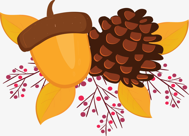 卡通秋天松果松塔