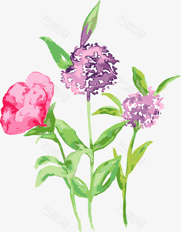 手绘水彩水墨花朵国风花朵
