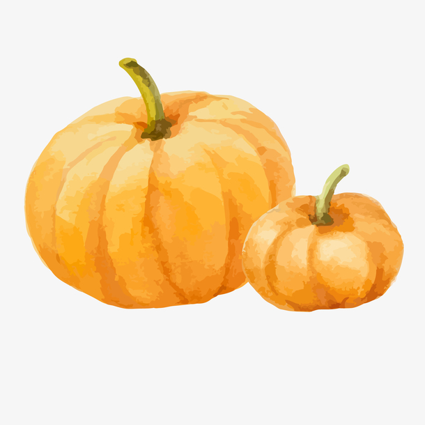 南瓜矢量图