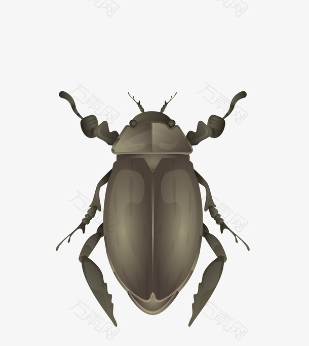 矢量绿色逼真昆虫