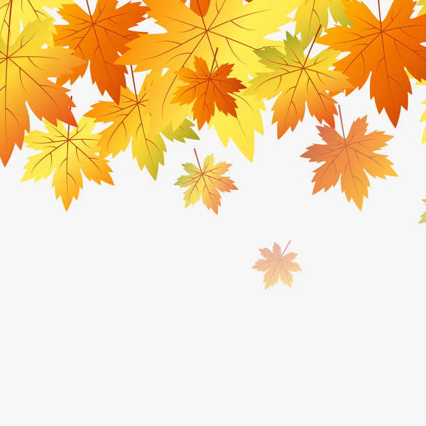 秋季树叶装饰