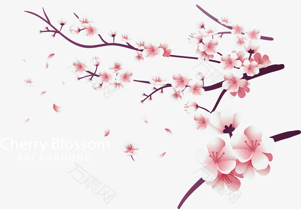 浪漫粉红樱花树枝