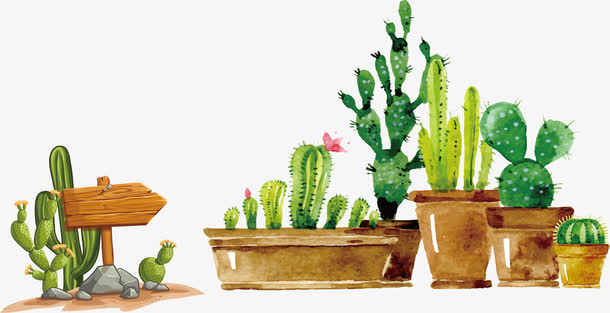 文艺小清新仙人草