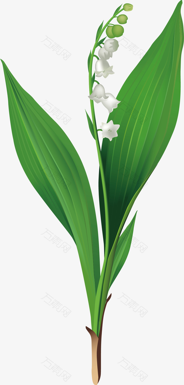 手绘花