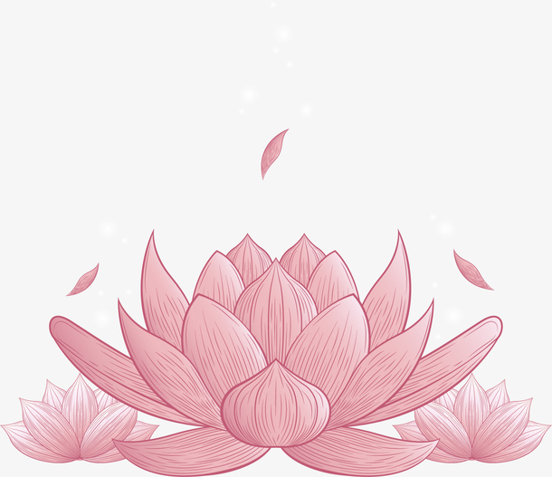 莲花图片免费下载 莲花素材 万素网