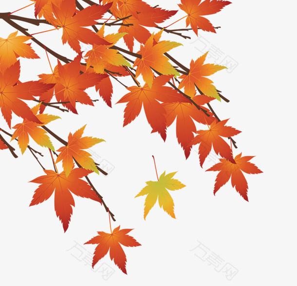 秋天二十四节气秋分