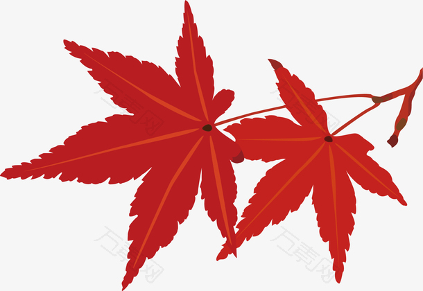 卡通矢量秋天枫树叶装饰插画