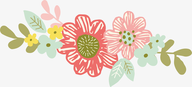 矢量图美丽的花朵